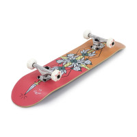 Skateboard Complètes Enuff Flash 8.00" 2023